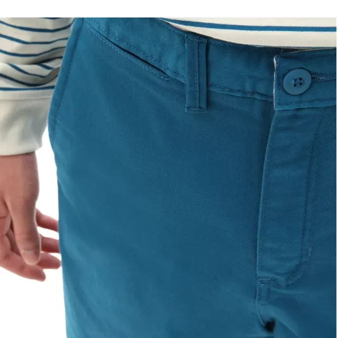 Шорты Vans Authentic Stretch